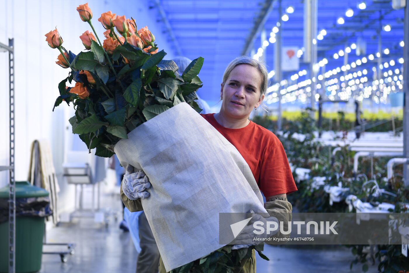 Russia Siberia Flowers
