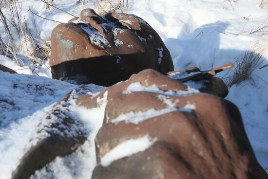 Ukraine Lenin Monument Auction