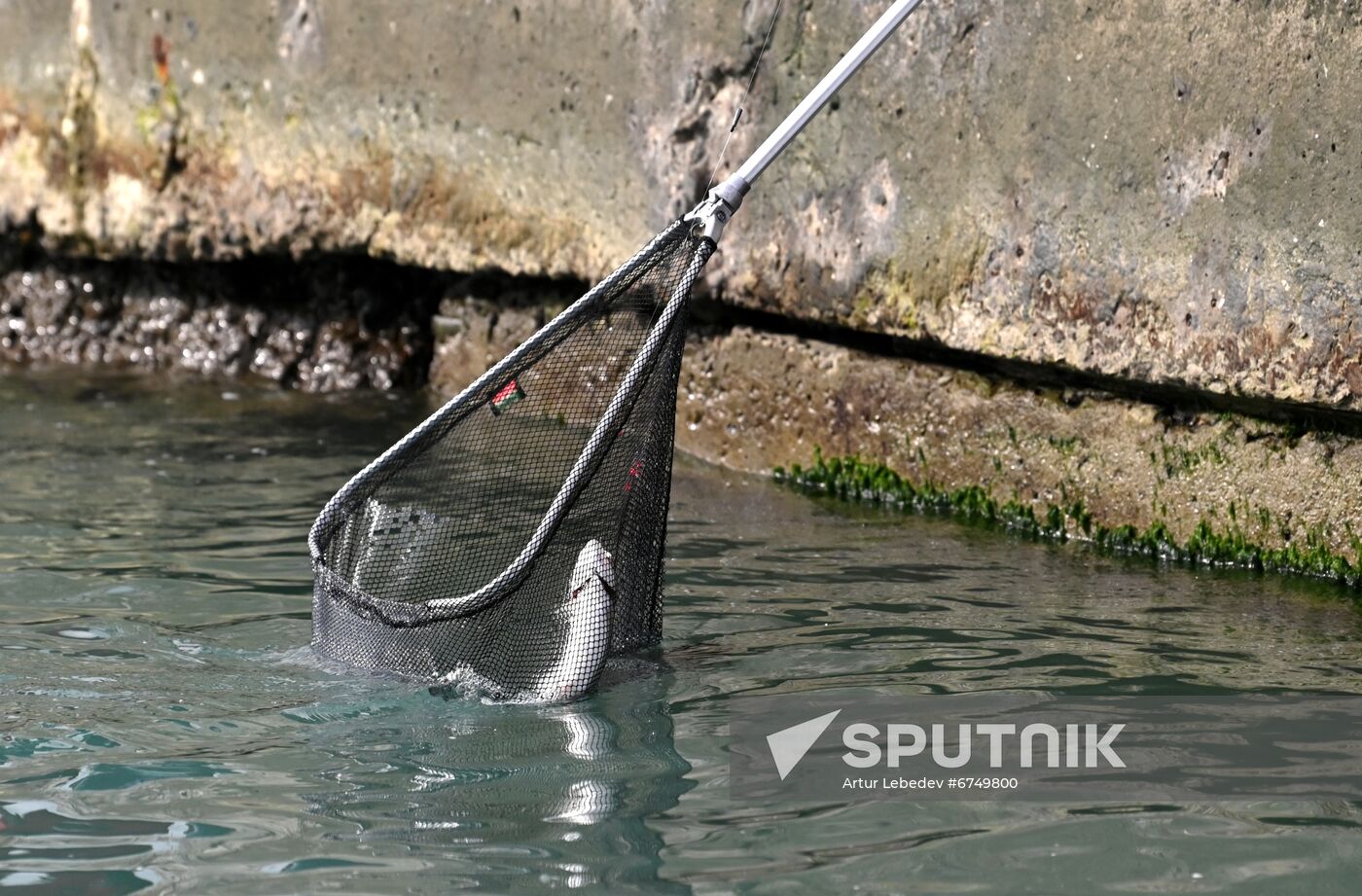 Russia Trout Fishing