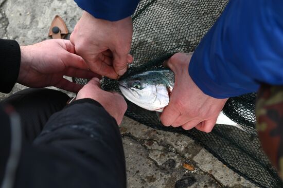 Russia Trout Fishing