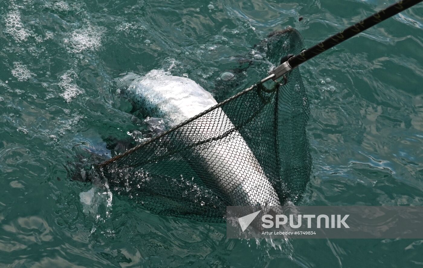 Russia Trout Fishing