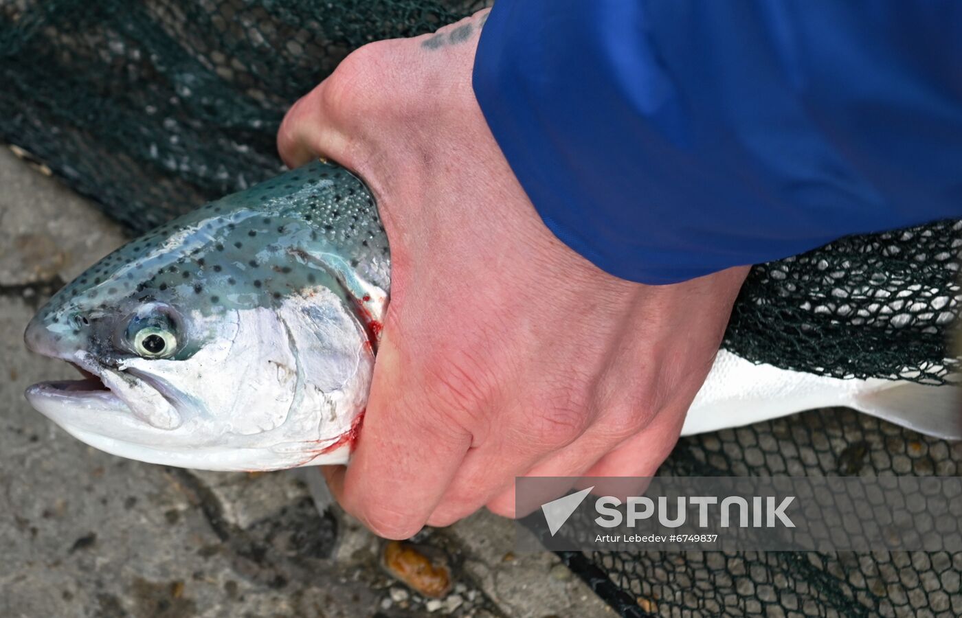 Russia Trout Fishing