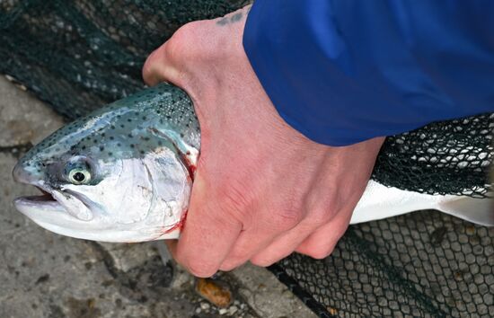 Russia Trout Fishing