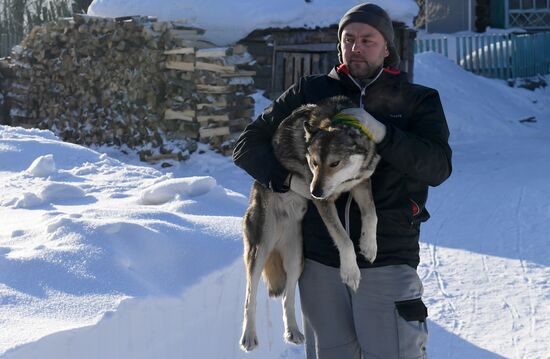 Russia Animals Stray Dogs