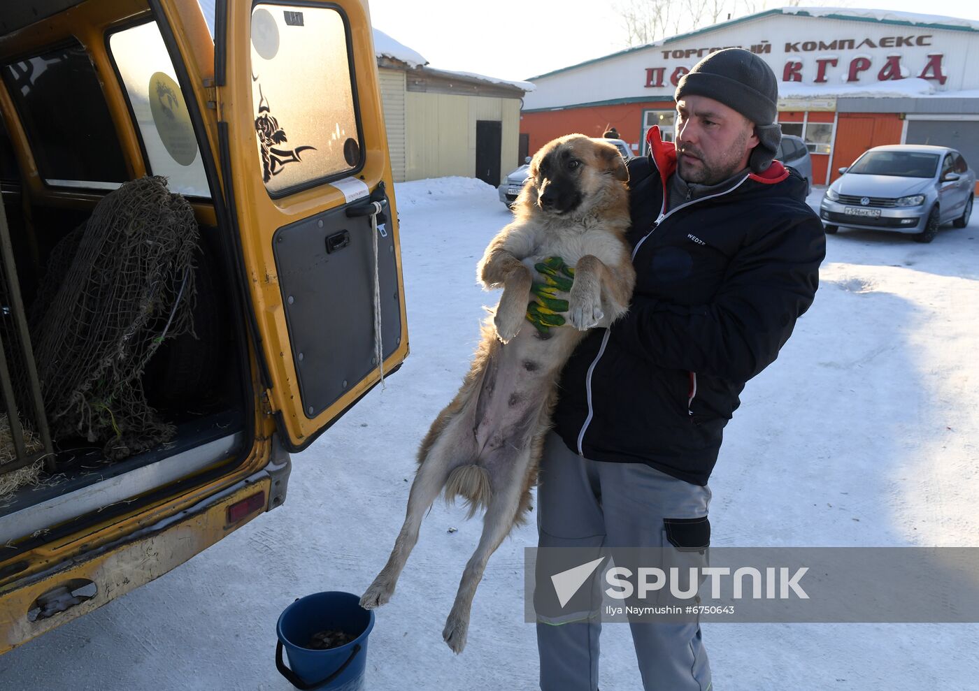 Russia Animals Stray Dogs