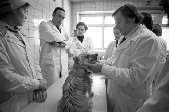 Veterinary clinic in Moscow