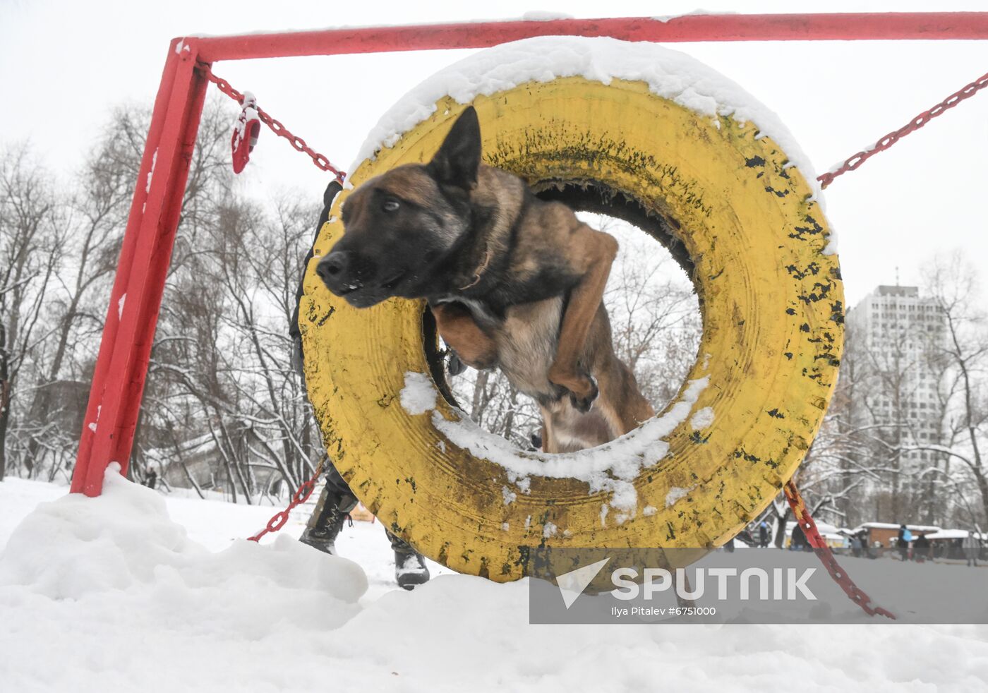 Russia Canine Centre