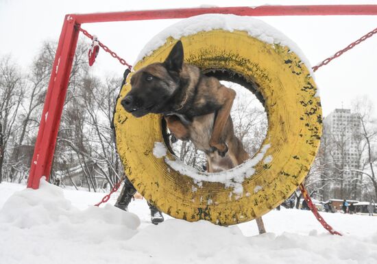 Russia Canine Centre