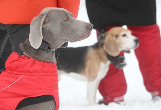 Russia Canine Centre