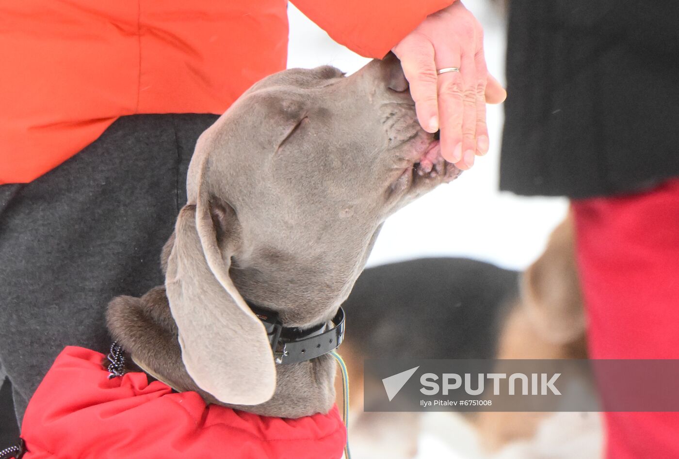 Russia Canine Centre
