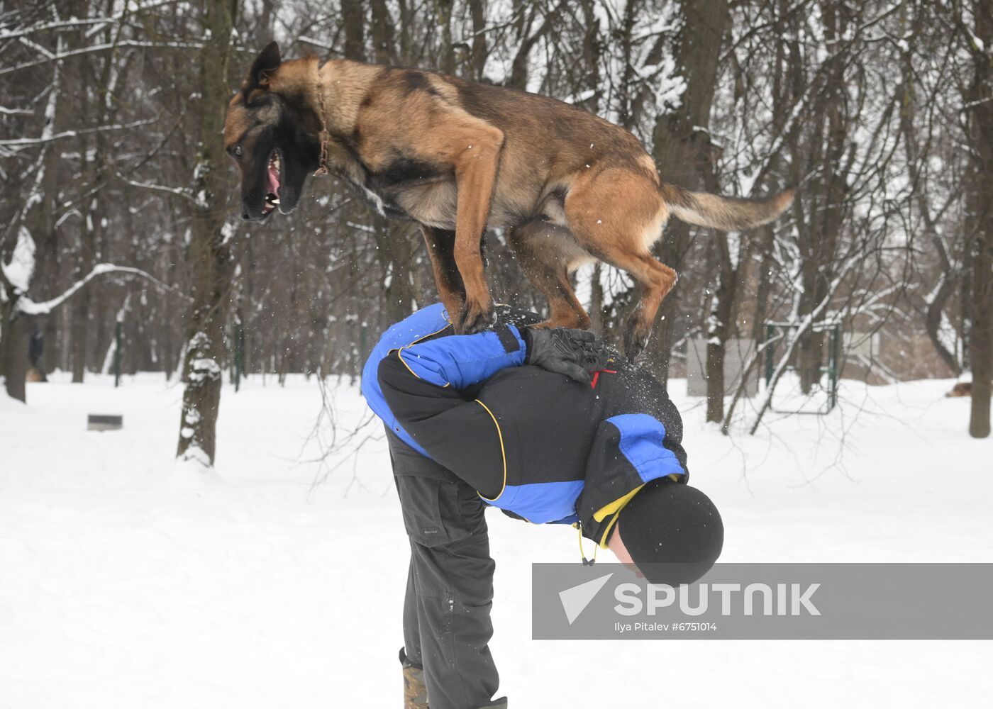 Russia Canine Centre