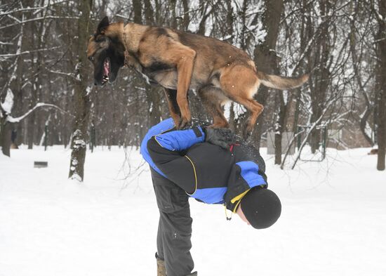 Russia Canine Centre