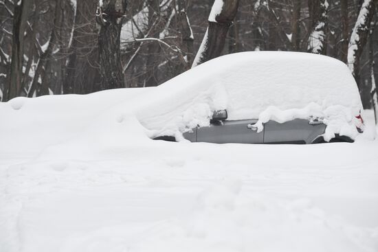 Russia Weather