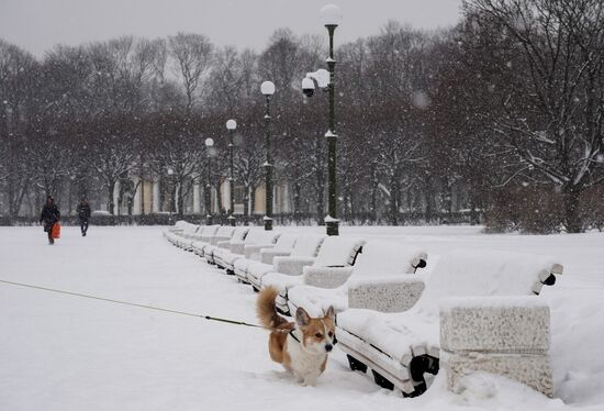 Russia Weather