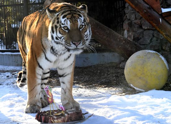 Russia Zoo Lunar New Year
