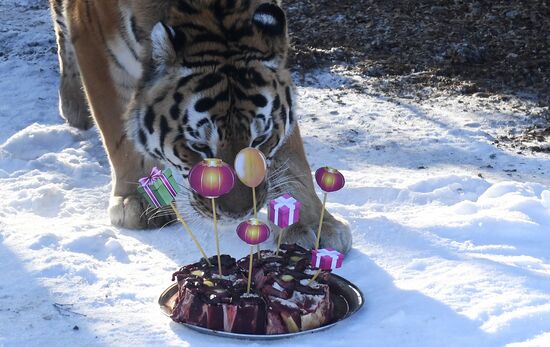 Russia Zoo Lunar New Year
