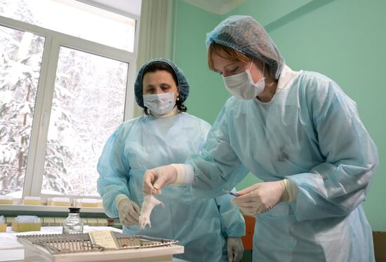Russia Cancer Treatment