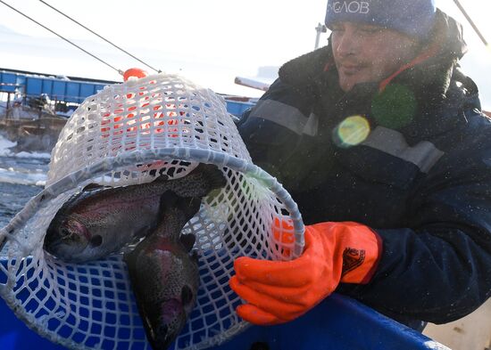 Russia Fish Farm