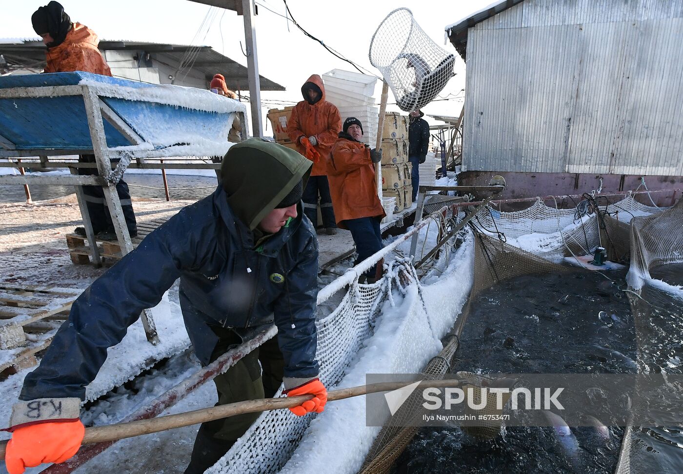 Russia Fish Farm