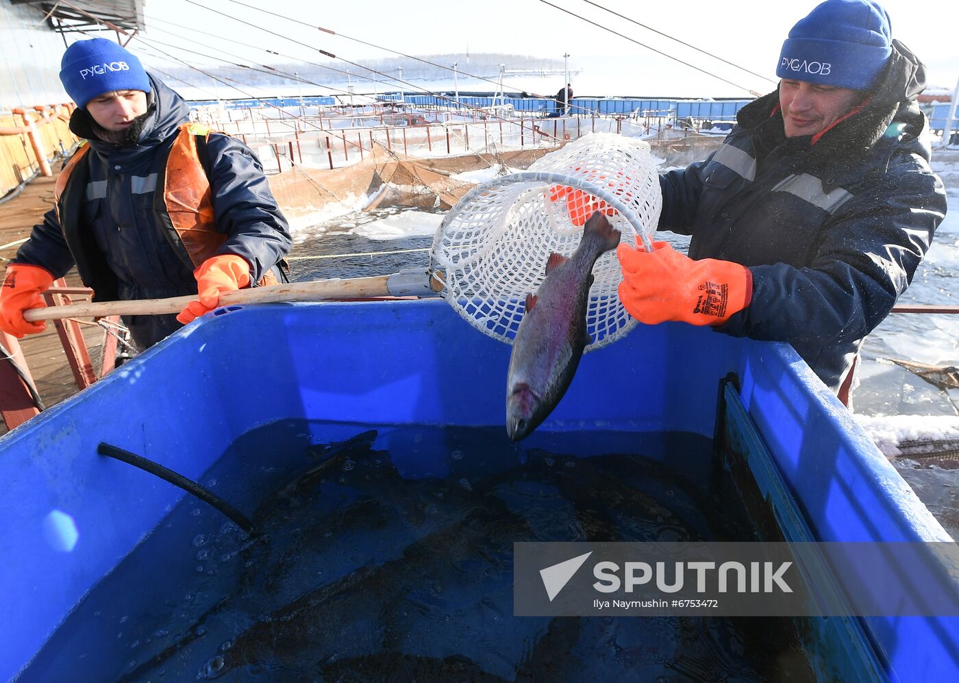 Russia Fish Farm