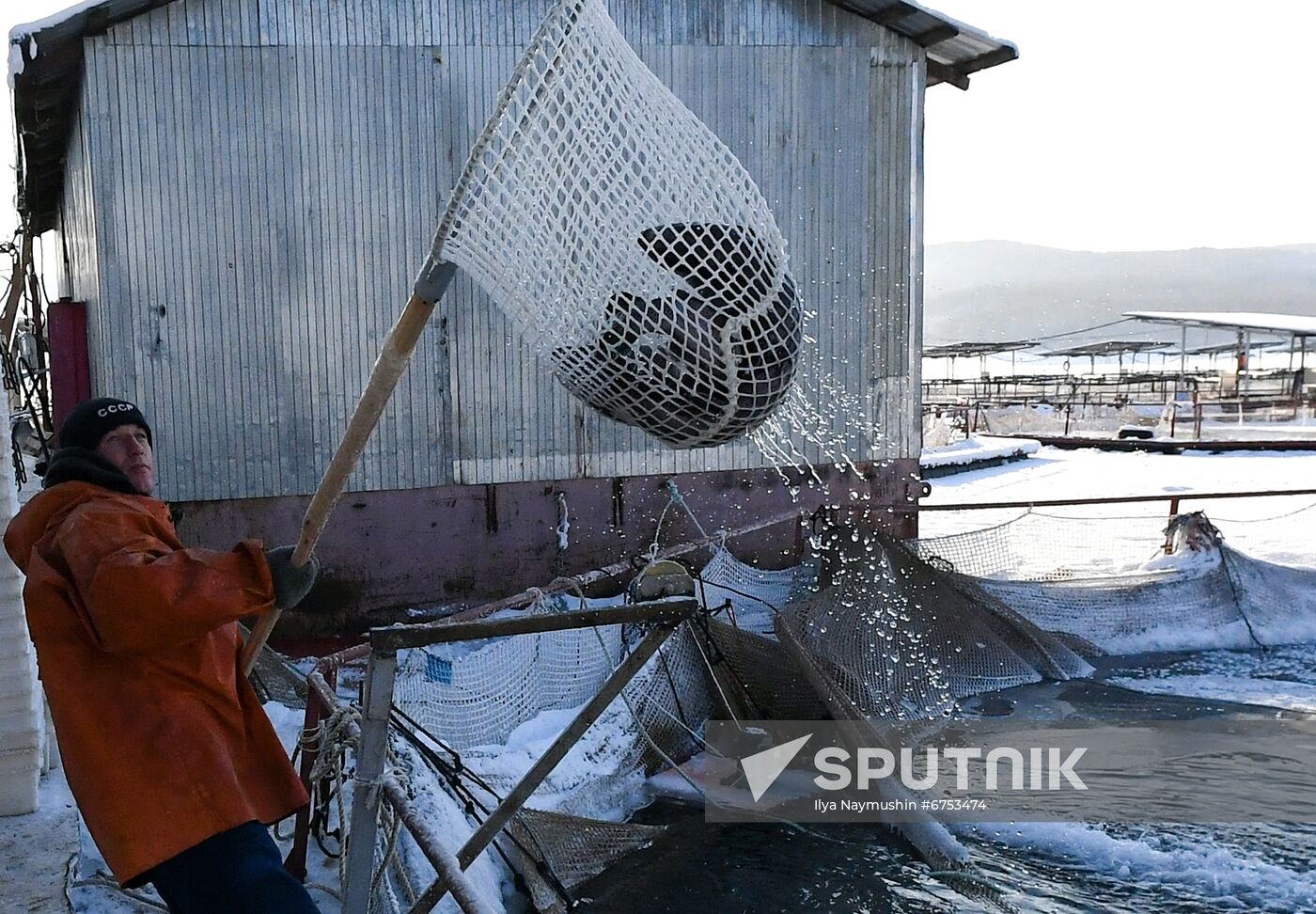 Russia Fish Farm