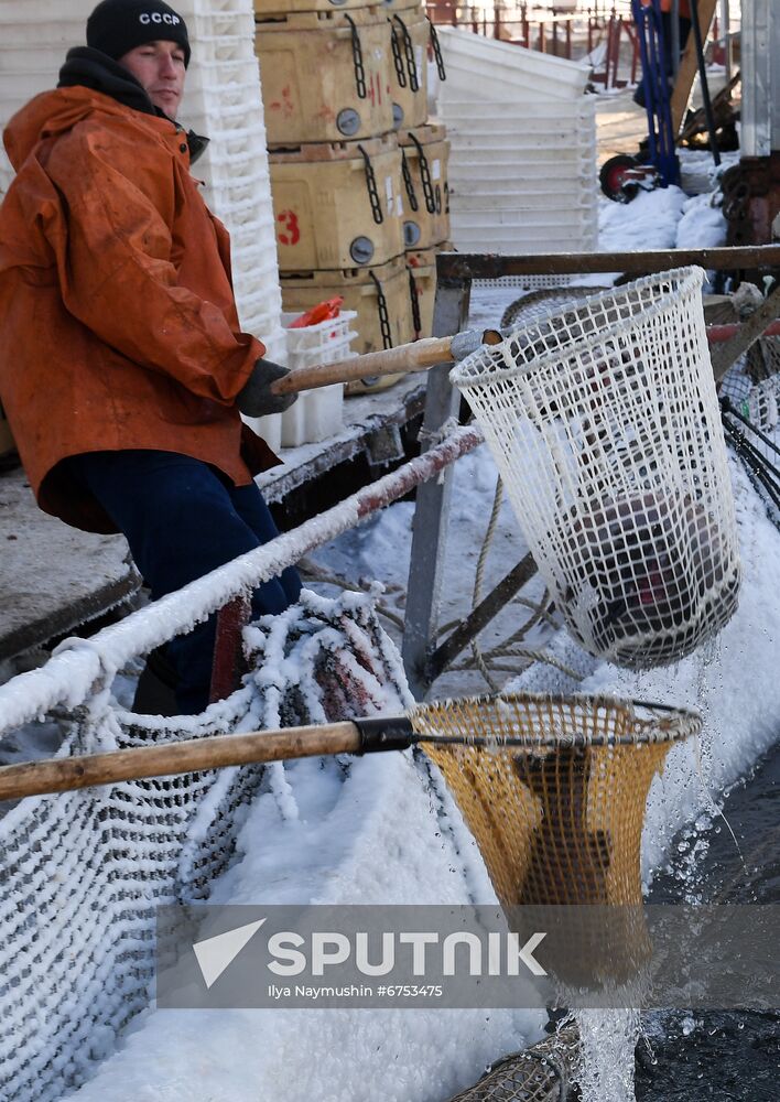 Russia Fish Farm