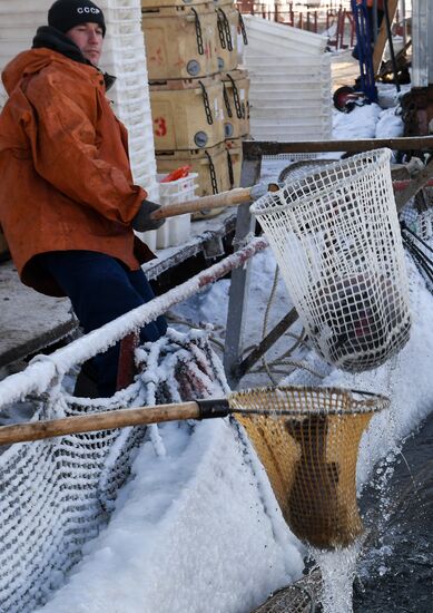 Russia Fish Farm