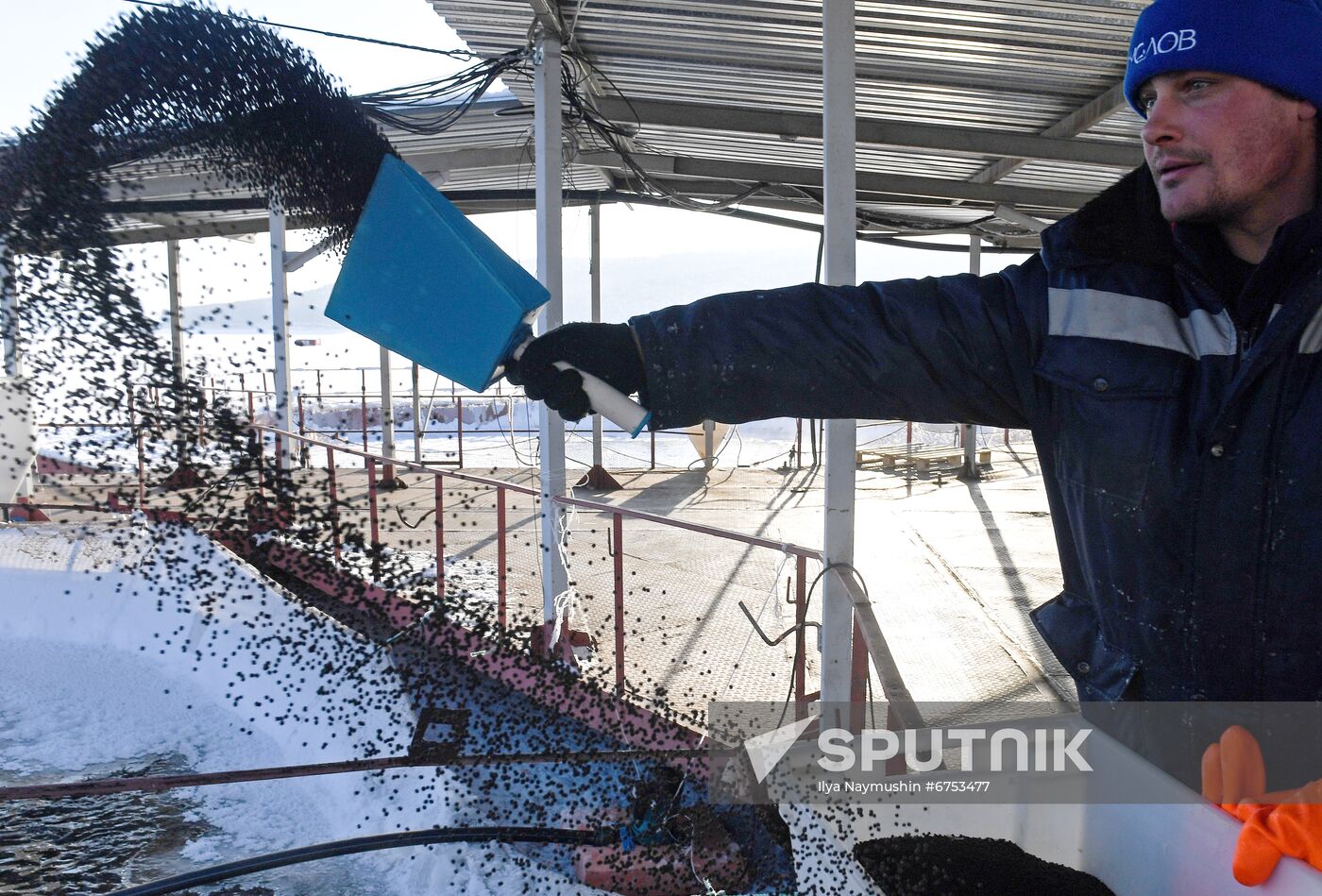 Russia Fish Farm