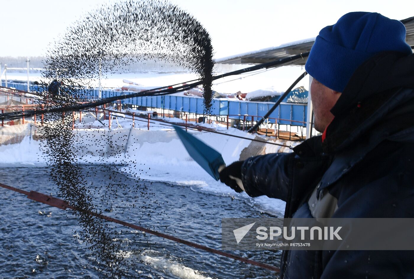 Russia Fish Farm