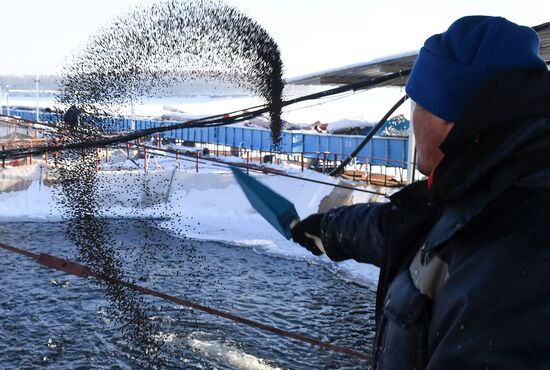 Russia Fish Farm