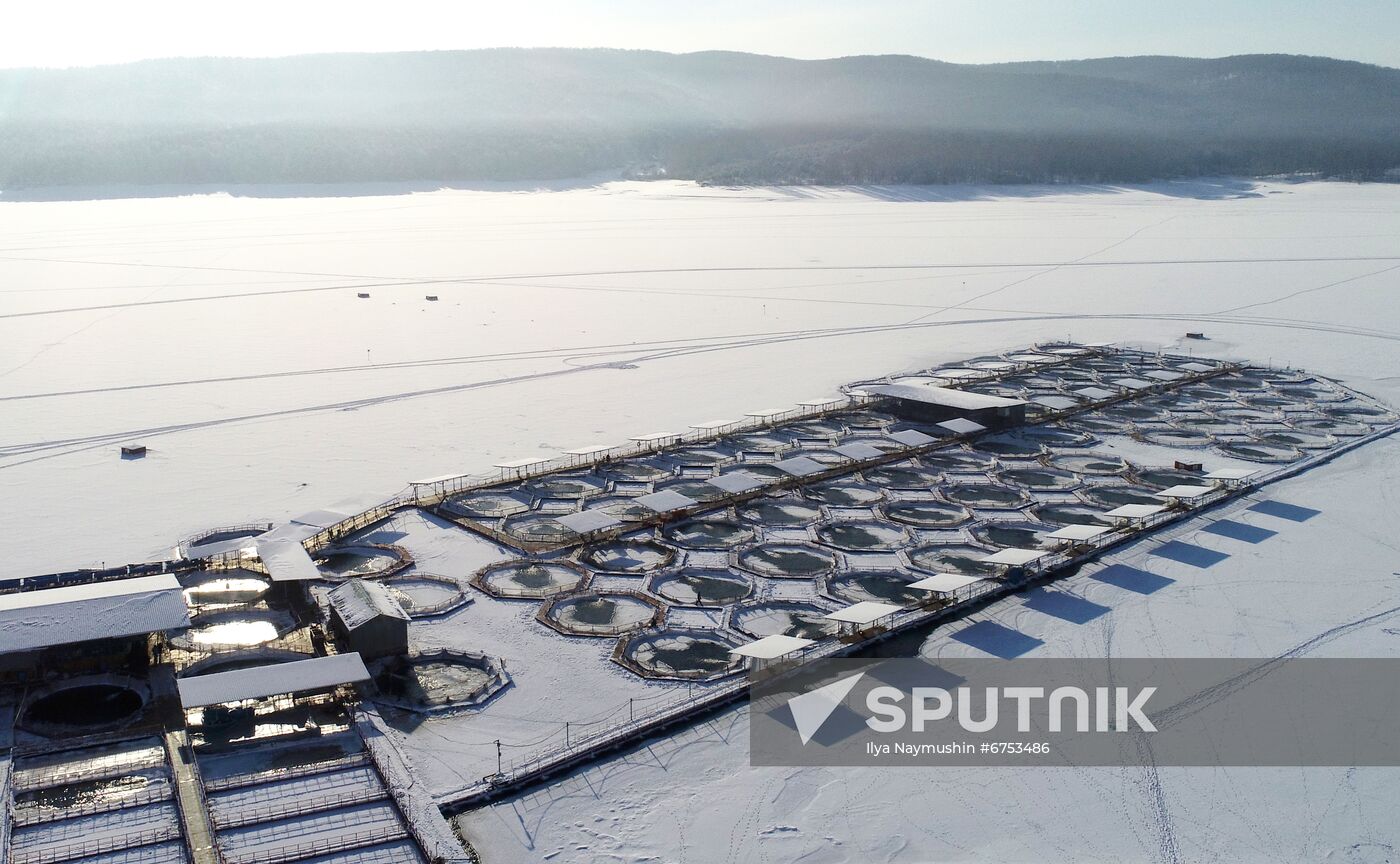 Russia Fish Farm