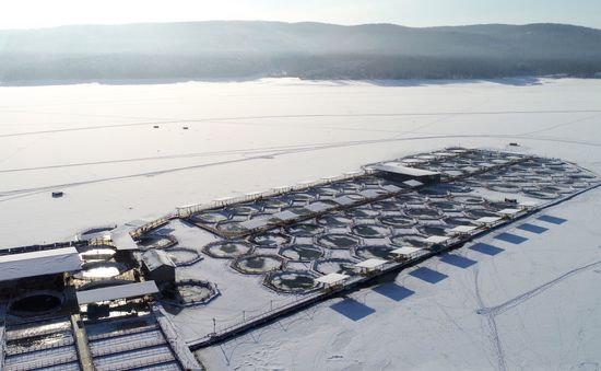Russia Fish Farm