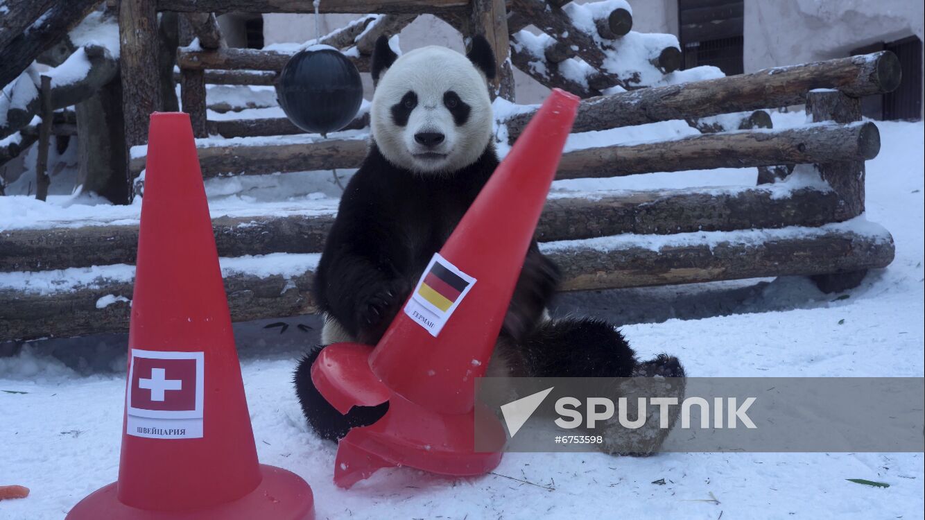 Russia Olympics 2022 Animals Prediction