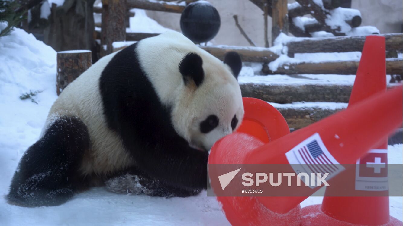 Russia Olympics 2022 Animals Prediction