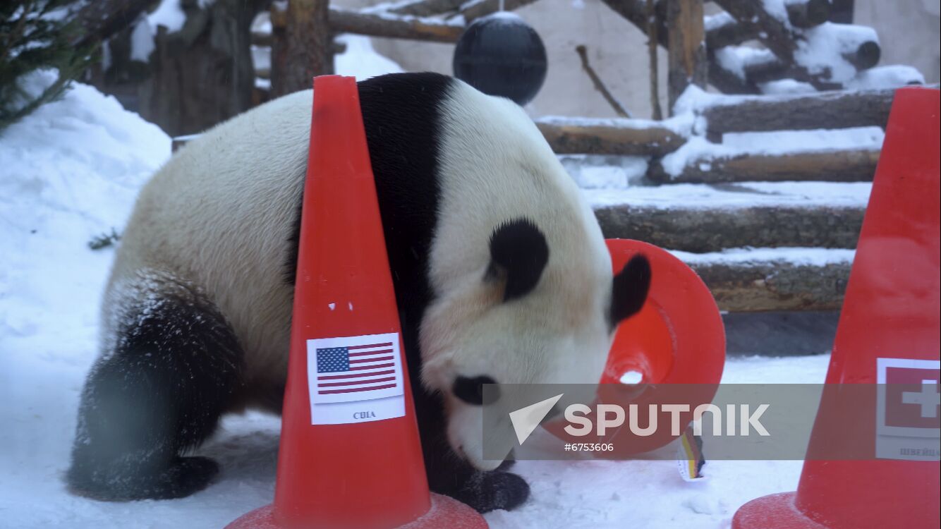 Russia Olympics 2022 Animals Prediction