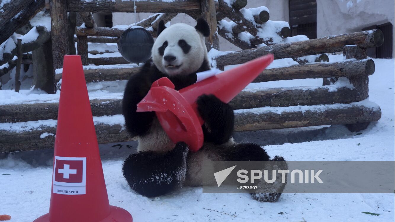 Russia Olympics 2022 Animals Prediction