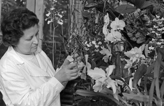 Main Botanical Garden of Soviet Academy of Sciences