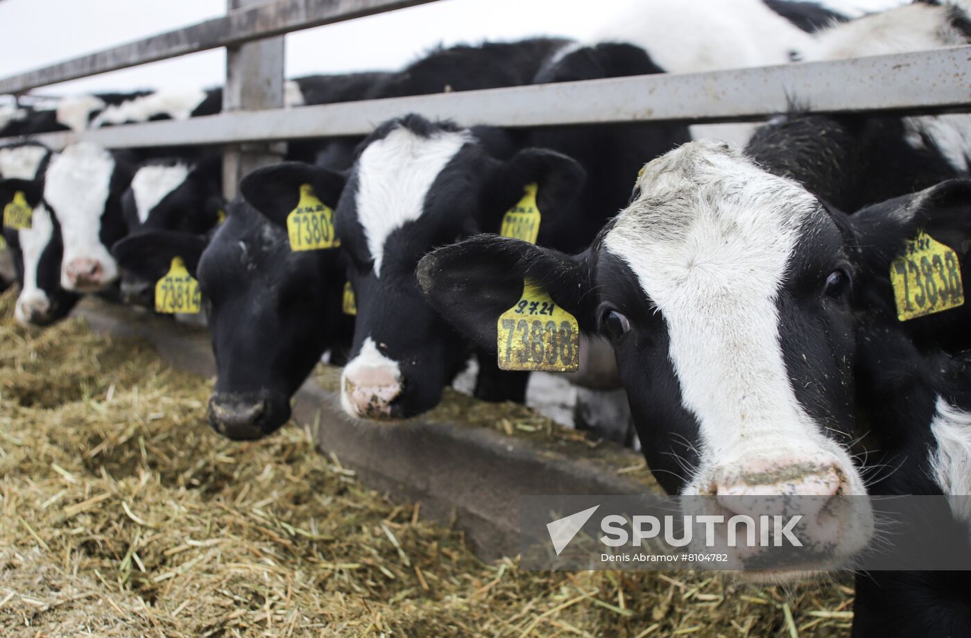 Russia Agriculture