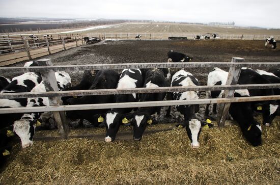Russia Agriculture
