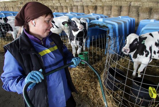 Russia Agriculture