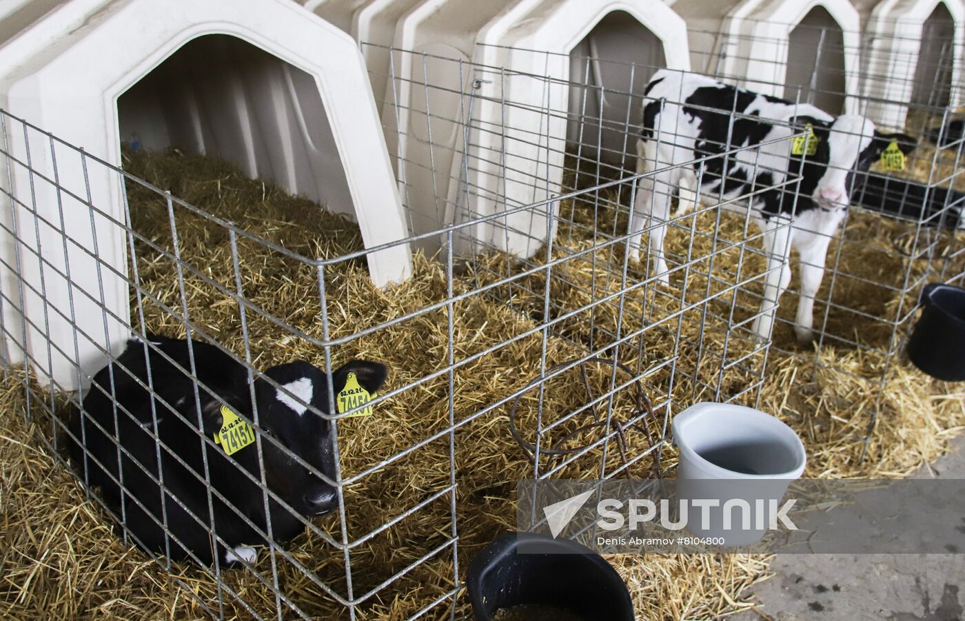 Russia Agriculture