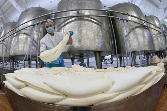 Russia Dairy Industry