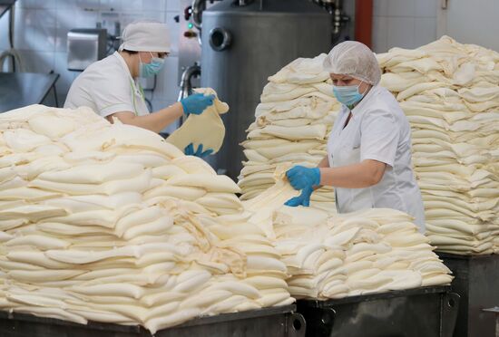 Russia Dairy Industry