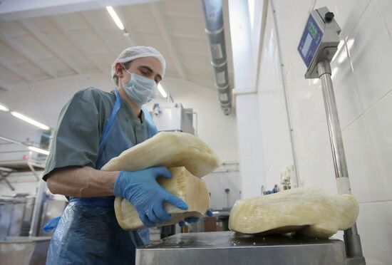 Russia Dairy Industry