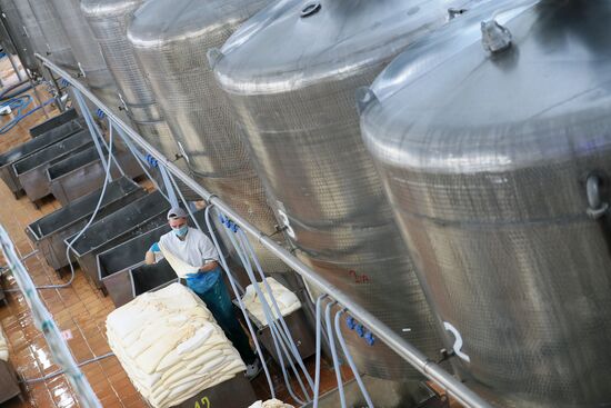 Russia Dairy Industry