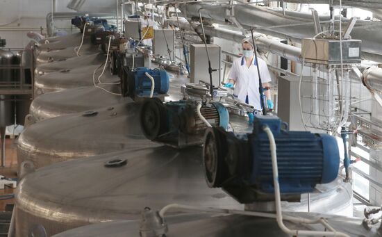 Russia Dairy Industry