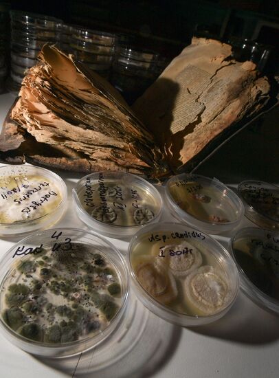 Russia Library Collection Restoration