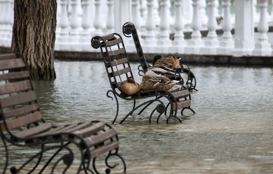 Russia Abrau-Dyurso Flood