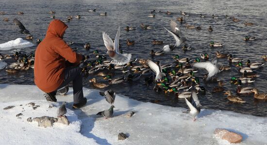 Russia Daily Life