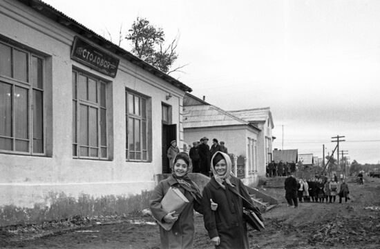 Dynamo agricultural cooperative